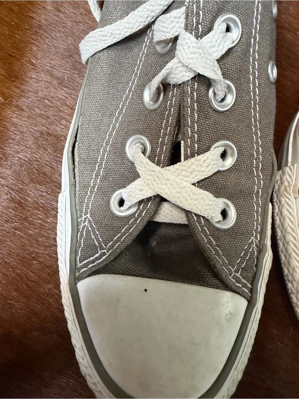 Taupe Canvas Low-Top Sneakers